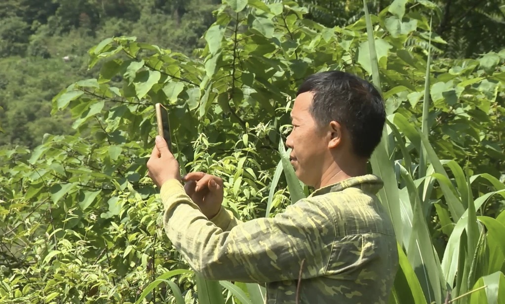 Cao Bằng: Hàng chục thôn bản "trắng sóng" là rào cản chuyển đổi số- Ảnh 1.