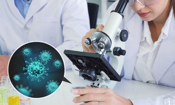 C&aacute;ch ph&acirc;n loại bệnh truyền nhiễm nh&oacute;m A, B, C - Ảnh 1.