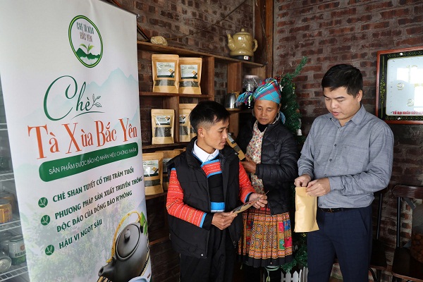 Ph&aacute;t triển thương hiệu Ch&egrave; T&agrave; X&ugrave;a Bắc Y&ecirc;n, mở rộng thị trường ti&ecirc;u thụ - Ảnh 3.