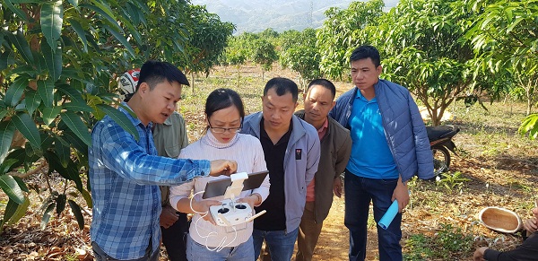 Ứng dụng UAV theo d&otilde;i sức khỏe c&acirc;y xo&agrave;i, nh&atilde;n tại Sơn La- Ảnh 2.