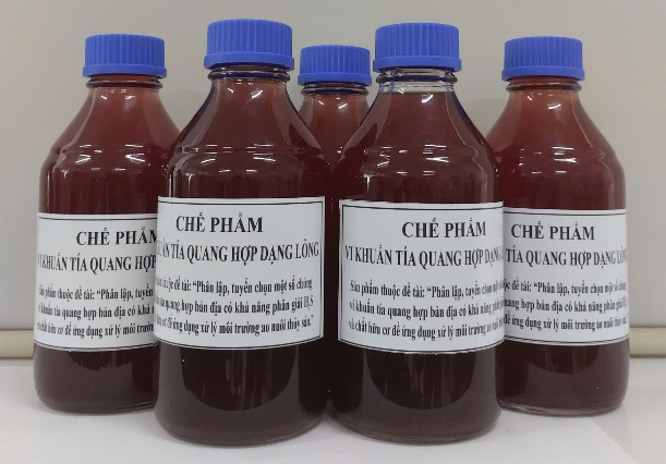 Vi khuẩn bản địa mở hướng xử l&yacute; m&ocirc;i trường ao nu&ocirc;i thủy sản- Ảnh 1.
