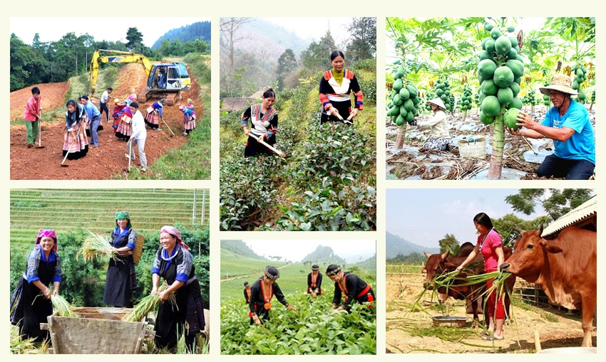 Đắk Lắk: Khoa học và công nghệ mở hướng sinh kế cho vùng đồng bào dân tộc thiểu số- Ảnh 1.