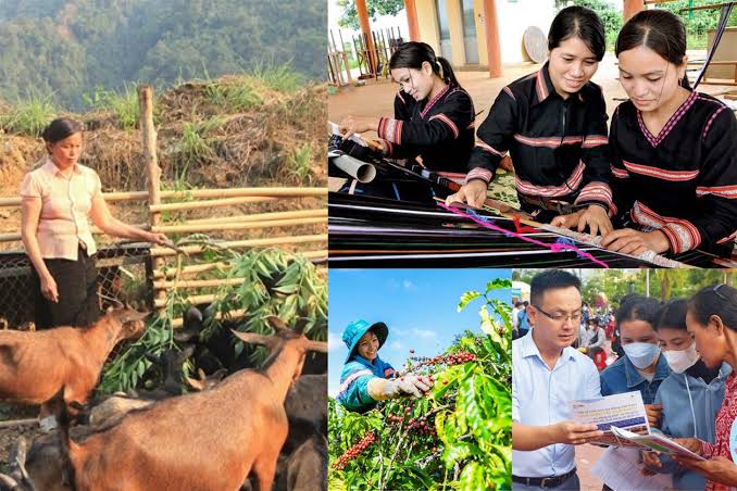 KH&CN mở đường n&acirc;ng gi&aacute; trị sinh kế v&ugrave;ng d&acirc;n tộc thiểu số Vĩnh Long- Ảnh 1.