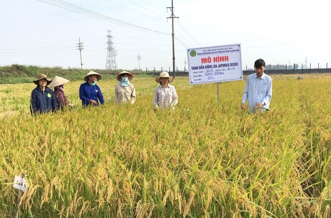H&agrave; Nội th&uacute;c đẩy ph&aacute;t triển ứng dụng năng lượng nguy&ecirc;n tử- Ảnh 1.