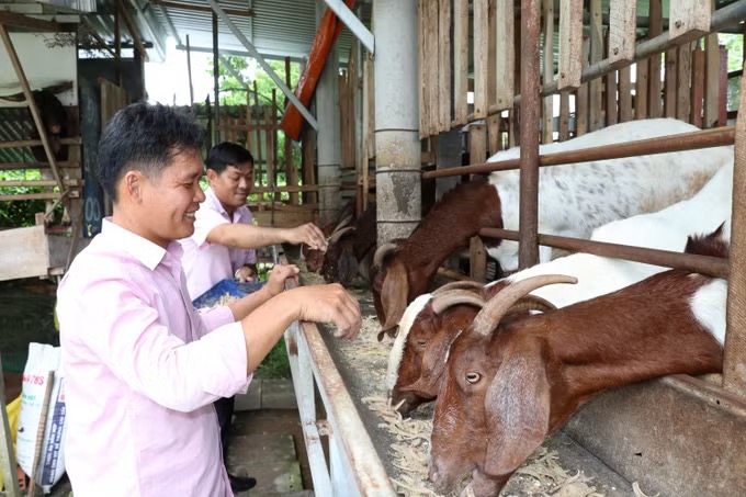 Đưa vốn tới tận cơ sở, tiếp sức phát triển sản xuất- Ảnh 1.