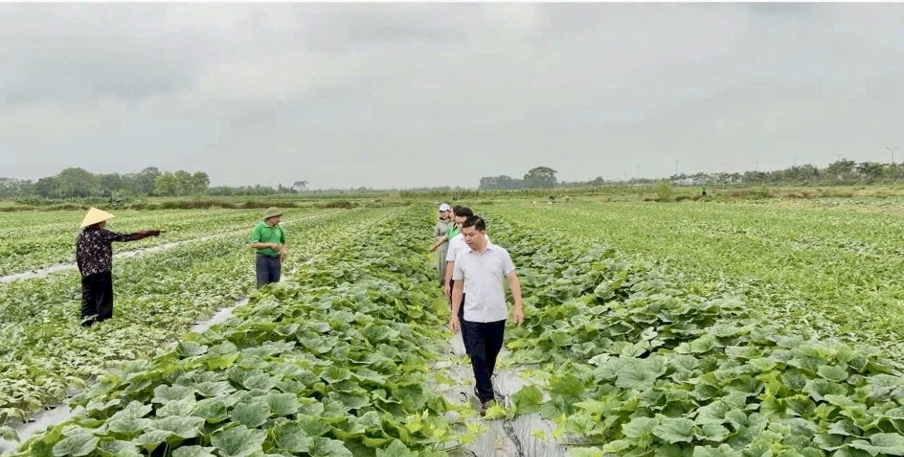 Lào Cai tăng tốc xóa lõm sóng, giảm nghèo thông tin vùng cao- Ảnh 1.