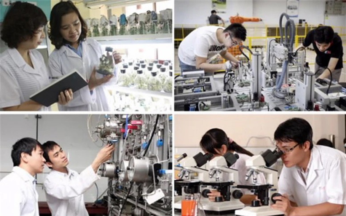 Ai có thể trở thành giám định viên tư pháp lĩnh vực khoa học, công nghệ?