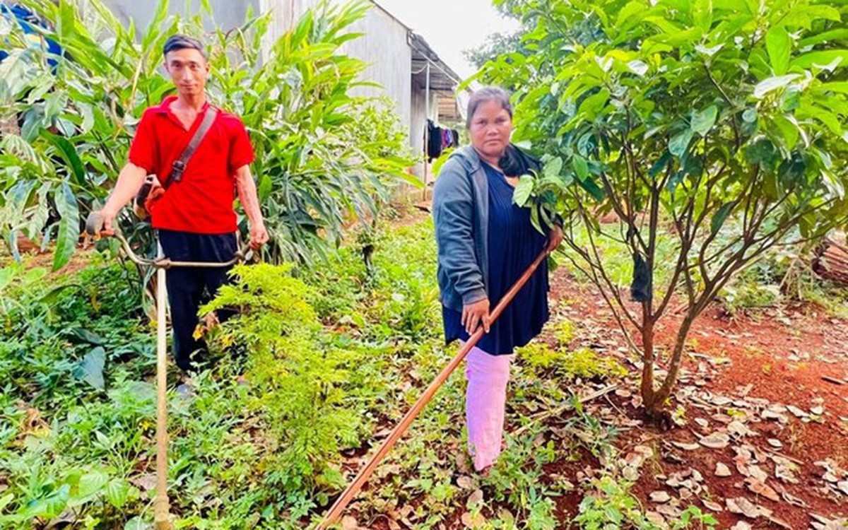 Đưa tiến bộ kỹ thuật vào mô hình sinh kế cho đồng bào dân tộc thiểu số Gia Lai