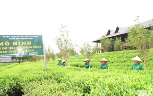 Bảo hộ nh&atilde;n hiệu tập thể g&oacute;p phần n&acirc;ng tầm đồ gỗ mỹ nghệ Canh Nậu- Ảnh 7.