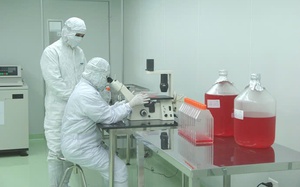 Ph&uacute; Thọ x&acirc;y dựng Đề &aacute;n Ph&aacute;t triển Khoa học, C&ocirc;ng nghệ v&agrave; Đổi mới s&aacute;ng tạo giai đoạn 2026 - 2030, tầm nh&igrave;n đến 2035- Ảnh 7.