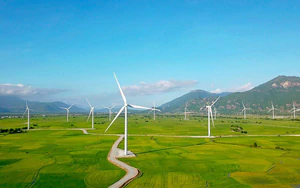 Kh&aacute;nh H&ograve;a hướng tới h&igrave;nh th&agrave;nh trung t&acirc;m c&ocirc;ng nghệ năng lượng t&aacute;i tạo - Ảnh 7.