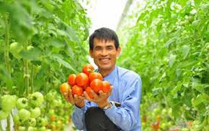 Bắc Ninh ứng dụng c&ocirc;ng nghệ cao, n&acirc;ng tầm sản xuất hoa lan hồ điệp v&agrave; hoa lily- Ảnh 6.