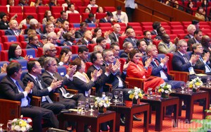 Cơ hội hợp t&aacute;c giữa Việt Nam v&agrave; &Aacute;o trong đảm bảo an ninh tương lai số- Ảnh 7.