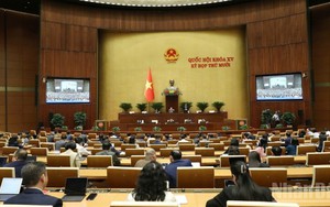 Cơ hội hợp t&aacute;c giữa Việt Nam v&agrave; &Aacute;o trong đảm bảo an ninh tương lai số- Ảnh 5.