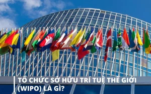 Việt Nam dự Đại hội đồng WIPO, th&uacute;c đẩy hợp t&aacute;c sở hữu tr&iacute; tuệ trong nhiệm kỳ mới- Ảnh 8.