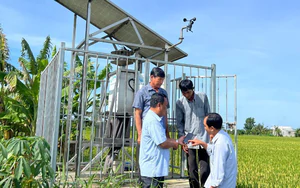 Ph&uacute; Thọ l&agrave;m chủ c&ocirc;ng nghệ, n&acirc;ng gi&aacute; trị rau an to&agrave;n- Ảnh 5.