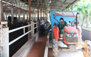 Ph&uacute; Thọ l&agrave;m chủ c&ocirc;ng nghệ, n&acirc;ng gi&aacute; trị rau an to&agrave;n- Ảnh 6.