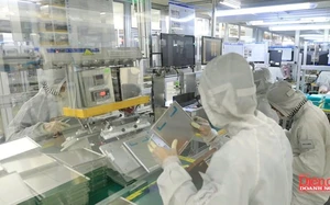Hải Ph&ograve;ng lần đầu v&agrave;o Top 1.000 hệ sinh th&aacute;i khởi nghiệp to&agrave;n cầu - Ảnh 5.