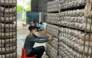 Bảo hộ nh&atilde;n hiệu tập thể g&oacute;p phần n&acirc;ng tầm đồ gỗ mỹ nghệ Canh Nậu- Ảnh 8.