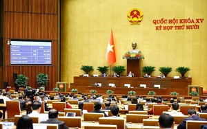 Viet Nam determined to strictly handle all intellectual property rights violations - Ảnh 2.