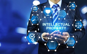 Viet Nam determined to strictly handle all intellectual property rights violations - Ảnh 3.