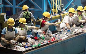 TCVN ISO 14068-1:2025: Chuẩn h&oacute;a lộ tr&igrave;nh trung h&ograve;a carbon theo hướng minh bạch- Ảnh 8.