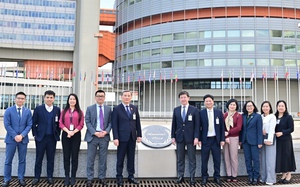 Việt Nam - IAEA th&uacute;c đẩy hợp t&aacute;c kỹ thuật điện hạt nh&acirc;n  - Ảnh 7.
