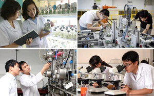 R&agrave; so&aacute;t tổng thể hệ thống văn bản QPPL phải đặt trong y&ecirc;u cầu cải c&aacute;ch thể chế - Ảnh 7.