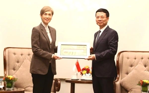 Việt Nam - Singapore trao đổi định hướng hỗ trợ doanh nghiệp c&ocirc;ng nghệ số v&agrave; đổi mới s&aacute;ng tạo- Ảnh 4.