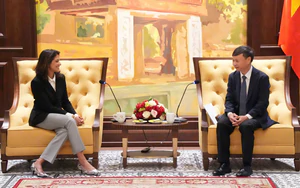 Bảo vệ quyền sở hữu tr&iacute; tuệ xuất ph&aacute;t từ nhu cầu ph&aacute;t triển của Việt Nam- Ảnh 4.