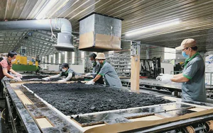 Đưa s&aacute;ng chế Việt v&agrave;o sản xuất: B&agrave;i to&aacute;n thị trường v&agrave; gi&aacute; trị thực tiễn- Ảnh 7.