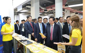 Th&uacute;c đẩy l&agrave;m chủ c&ocirc;ng nghệ vũ trụ, ph&aacute;t triển hệ sinh th&aacute;i c&ocirc;ng nghiệp vệ tinh Việt Nam- Ảnh 6.