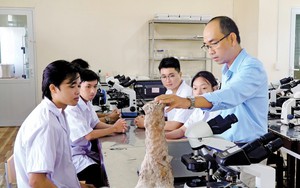 C&agrave; Mau đặt mục ti&ecirc;u 5.000 doanh nghiệp nhỏ v&agrave; vừa chuyển đổi số v&agrave;o năm 2030 - Ảnh 9.