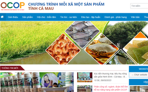 C&agrave; Mau đặt mục ti&ecirc;u 5.000 doanh nghiệp nhỏ v&agrave; vừa chuyển đổi số v&agrave;o năm 2030 - Ảnh 7.