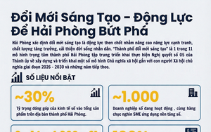 Hải Ph&ograve;ng lần đầu v&agrave;o Top 1.000 hệ sinh th&aacute;i khởi nghiệp to&agrave;n cầu - Ảnh 4.