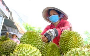 L&acirc;m Đồng: Đưa tiến bộ kỹ thuật v&agrave;o nghề d&acirc;u tằm, n&acirc;ng sinh kế cho đồng b&agrave;o Đam R&ocirc;ng - Ảnh 9.