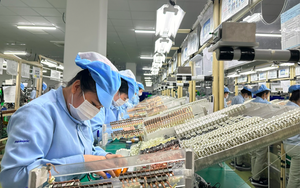 Kiện to&agrave;n Ban Chỉ đạo ph&aacute;t triển khoa học, c&ocirc;ng nghệ, đổi mới s&aacute;ng tạo, chuyển đổi số v&agrave; Đề &aacute;n 06- Ảnh 3.