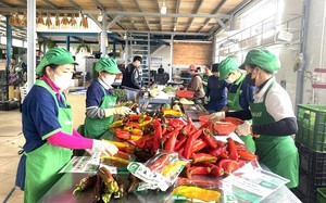 L&acirc;m Đồng hướng tới h&igrave;nh th&agrave;nh m&ocirc; h&igrave;nh hợp t&aacute;c x&atilde; đổi mới s&aacute;ng tạo- Ảnh 5.