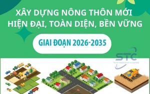 Khánh Hòa: Phát triển sản phẩm OCOP trở thành “đại sứ du lịch” giai đoạn 2026 - 2030  - Ảnh 5.