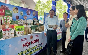 OCOP và du lịch nông thôn mở hướng phát triển mới cho kinh tế địa phương- Ảnh 4.