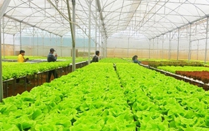 Xóa “điểm nghẽn” thông tin, Lâm Đồng tăng tốc chuyển đổi số- Ảnh 3.