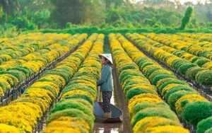 T&acirc;y Ninh dự kiến th&iacute; điểm nhiều đề &aacute;n ph&aacute;t triển khoa học, c&ocirc;ng nghệ - Ảnh 7.