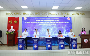 N&acirc;ng cao năng lực triển khai Chỉ số đổi mới s&aacute;ng tạo cấp địa phương tại Đắk Lắk- Ảnh 11.