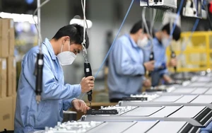 Việt Nam - Ấn Độ trao đổi hợp t&aacute;c b&aacute;n dẫn, AI v&agrave; chuyển đổi số - Ảnh 3.