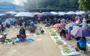 Tuổi trẻ L&acirc;m Đồng xung k&iacute;ch chuyển đổi số, khơi dậy s&aacute;ng tạo c&ocirc;ng nghệ- Ảnh 3.