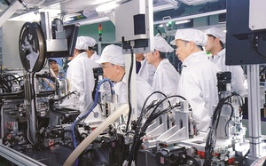 Doanh nghiệp gia c&ocirc;ng: Muốn đi xa phải "n&acirc;ng chuẩn" từ gốc- Ảnh 4.