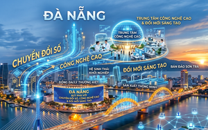 Đ&agrave; Nẵng đề xuất hỗ trợ đăng k&yacute; bảo hộ t&agrave;i sản tr&iacute; tuệ đến năm 2030- Ảnh 2.