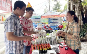 Tạo xung lực mới cho hợp t&aacute;c sở hữu tr&iacute; tuệ Việt Nam &ndash; H&agrave;n Quốc - Ảnh 11.