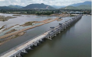 Nghi&ecirc;n cứu khoa học c&oacute; thể bị cấm v&ocirc; thời hạn nếu đạo văn, dữ liệu giả - Ảnh 5.