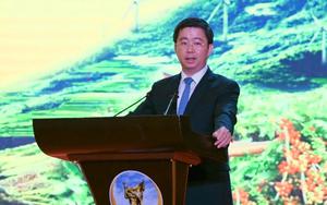 Kinh tế kh&ocirc;ng gian tầm thấp l&agrave; động lực tăng trưởng mới- Ảnh 4.